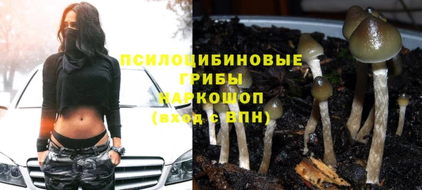 кокаин колумбия Алексин