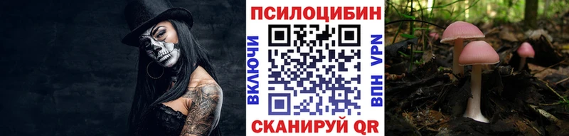 Псилоцибиновые грибы мицелий Богучар